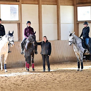Lehrgang - Jugendförderung Dressur mit Sabine Mattiske