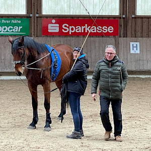 Lehrgang - Longieren mit Schwerpunkt Voltigieren