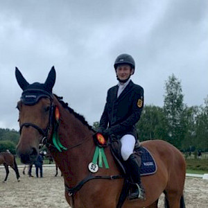 Deutsche Meisterschaften - Erfolge im Vielseitigkeit 2024