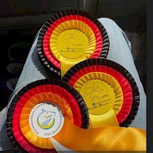 🏆 PSK Oberschwaben-Meister Fahren 2024