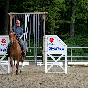 🌟Fortbildung Breitensport - Freude im Pferdetraining