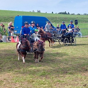 Zwischenstand PSK Oberschwaben-Cup Breitensport 2025 - Albersfeld🏅