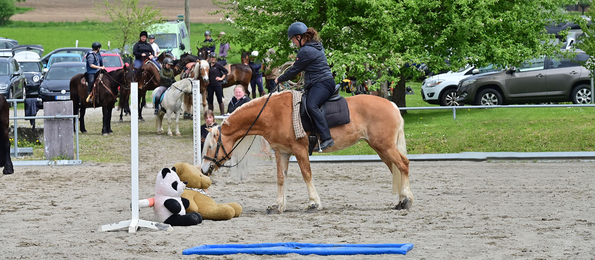 Willkommen beim Pferdesportkreis Oberschwaben