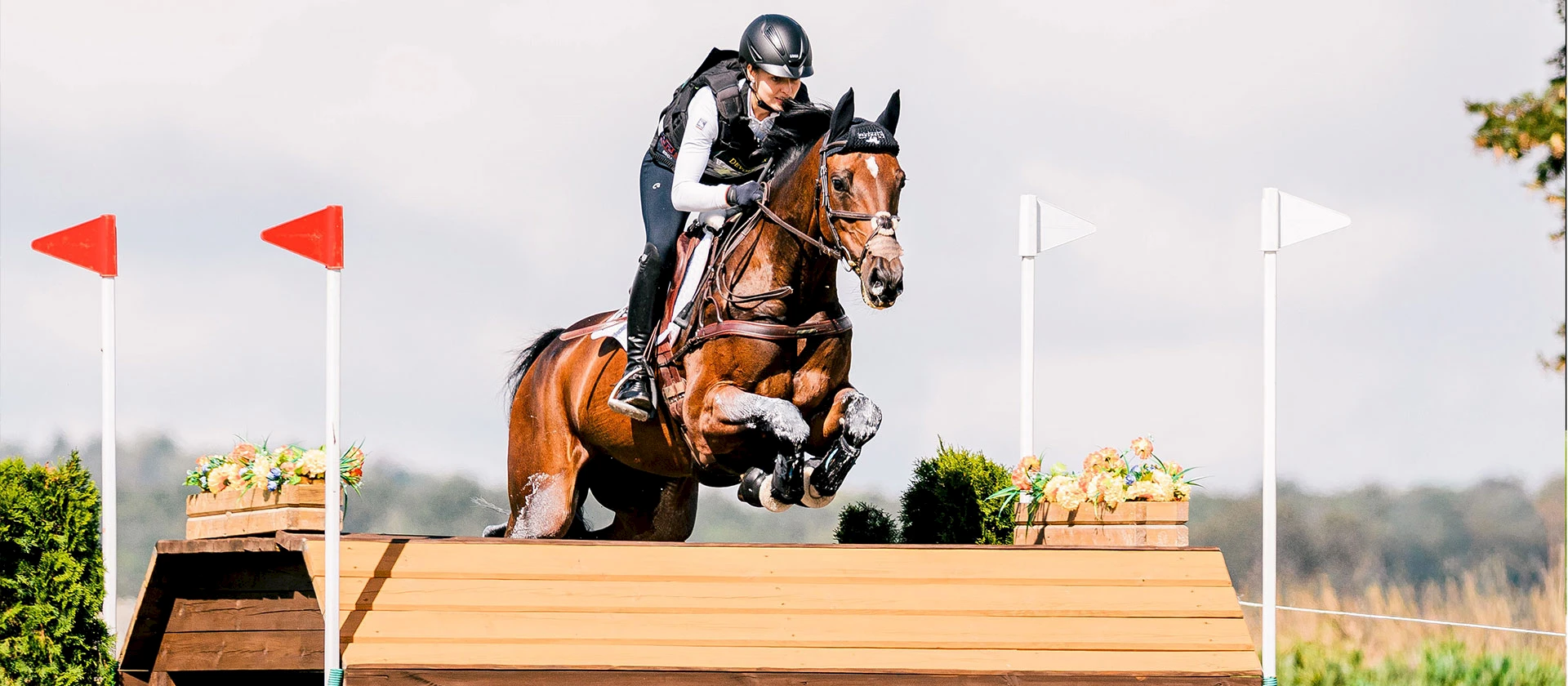 Willkommen beim Pferdesportkreis Oberschwaben