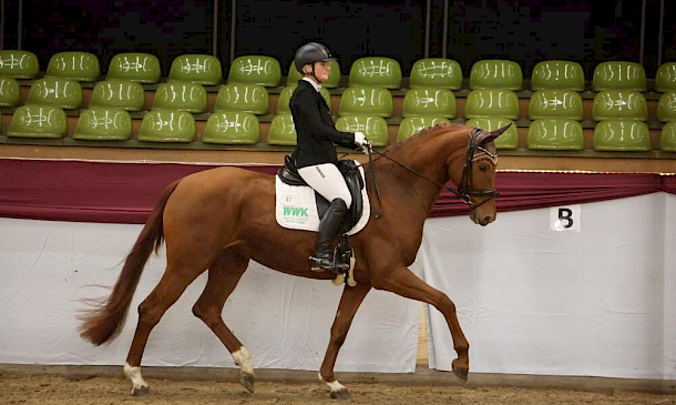 🔥 Marbach: Vajana trabt zum Sieg im Gert-Gussmann-Cup 2025 👏🏼 Starkes Dressur-Trio! 🔥