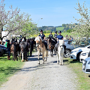 ☀️ PSKO‑Meisterschaft Breitensport - 2. Station Reiten - mit sonnigem O-Ritt beim RFV Schomburg-Amtzell ist voller Erfolg! 🐴☀️