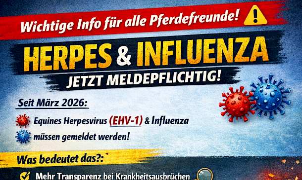 🐎🔍 Pferdeherpes jetzt meldepflichtig – mehr Transparenz für mehr Sicherheit