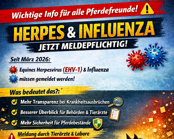 🐎🔍 Pferdeherpes jetzt meldepflichtig – mehr Transparenz für mehr Sicherheit