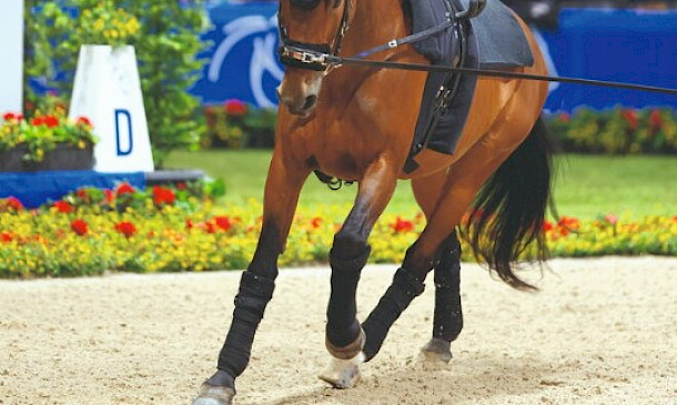 FBW Candy - Siegesserie geht weiter: Alice Layher triumphiert erneut in Lier 🏆✨
