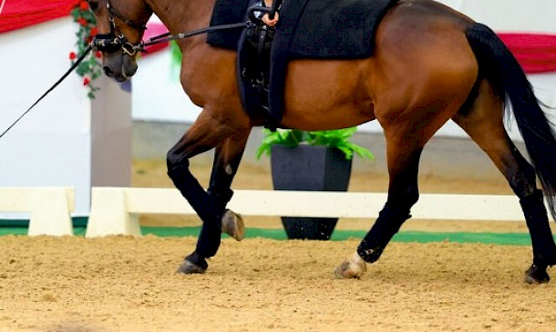 FBW Candy - Traumstart in Monza: Alice Layher setzt mit Top-Note ein Ausrufezeichen ✨🏆