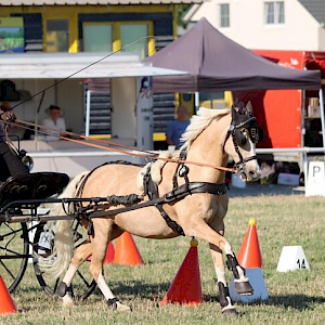 Anna Grundmann mit Pony Jina heute in Ichenheim / © Herbert Rauser Anna Grundmann mit Pony Jina heute in Ichenheim / © Herbert Rauser