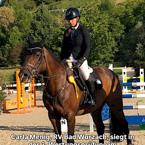 Wir gratulieren der Championats-Siegerin Wertungsprüfungen U16: Carla Valentina Menig (RFV Bad Wurzach) mit Rotegg's Naomi! 🐎🏆💛