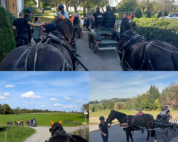 Sonne, Spaß und PSKO-Punkte: Orientierungsfahrt in Wangen begeistert auf ganzer Linie 🐴☀️🏆