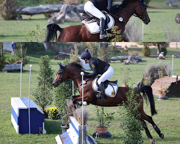 🐴🌟 Anna Langöhrig rockt die Baden-Württembergische Meisterschaft!