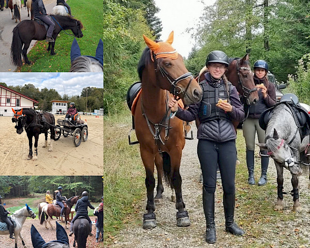 🐴🎉 PSKO-Cup/Meisterschaft: Was für ein Finale in Hauerz! Gewinner der letzten Station der PSKO-Breitensportcupserie 2026!